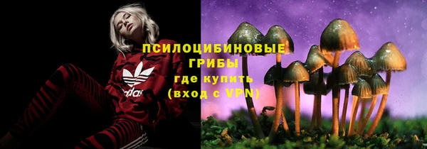apvp Красноперекопск